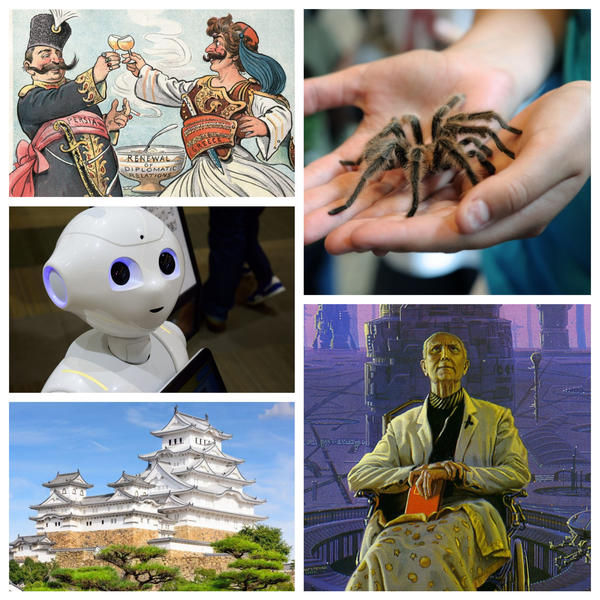 faze tari, Foto: Colaj foto