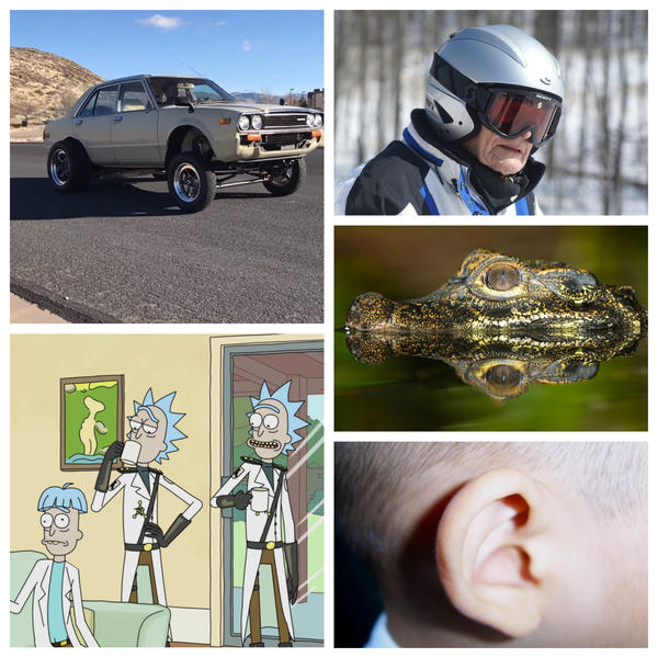 faze tari, Foto: Colaj foto