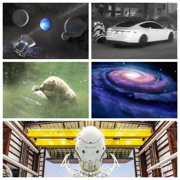 Faze tari, Foto: Colaj foto