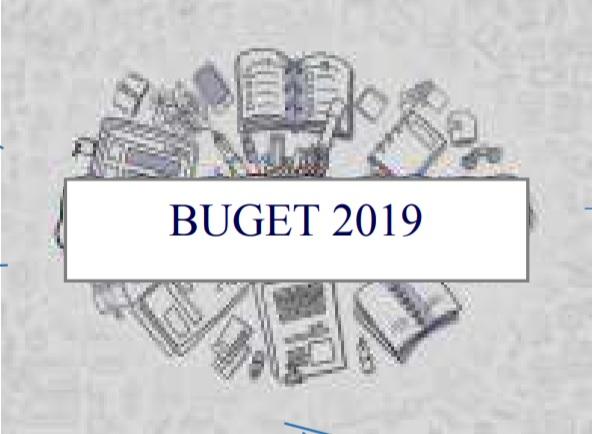 Buget 2019, Foto: MFP