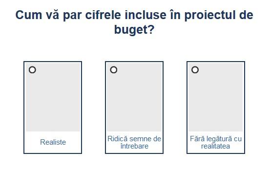 Sondaj proiectul de buget, Foto: Hotnews