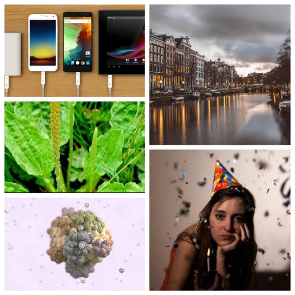 utile, Foto: Colaj foto