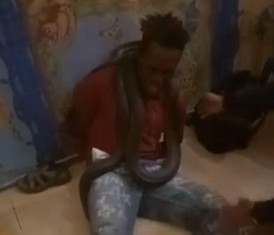 Sarpe folosit in Indonezia la ancheta, Foto: Captura YouTube