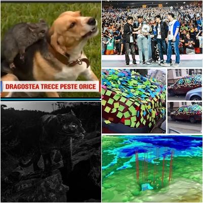 faze tari, Foto: Colaj foto