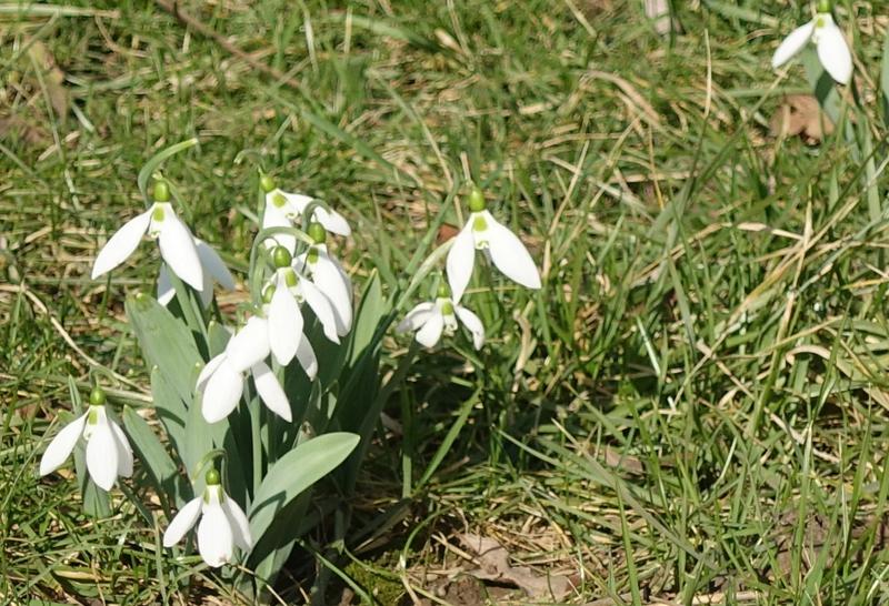 A venit primavara?!, Foto: USER UPLOADED