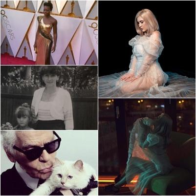 caru cu vedete, Foto: Colaj foto