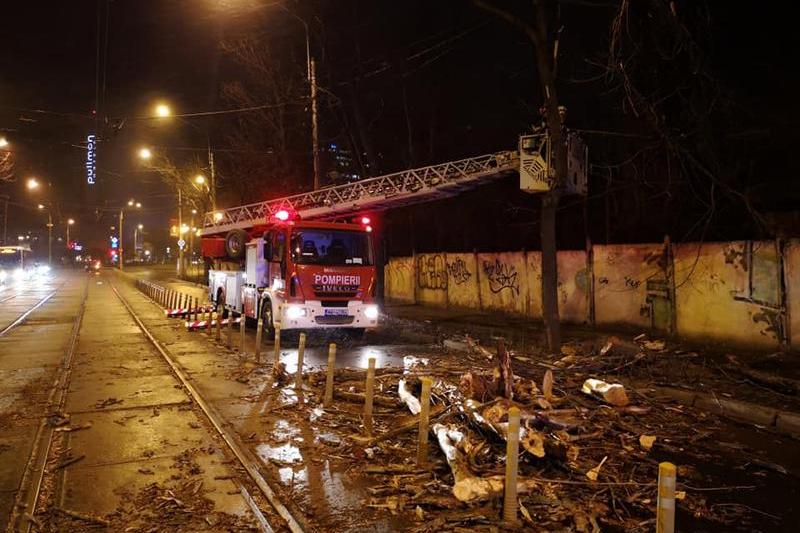 Copaci doborati de vant, Foto: ISU Bucuresti-Ilfov