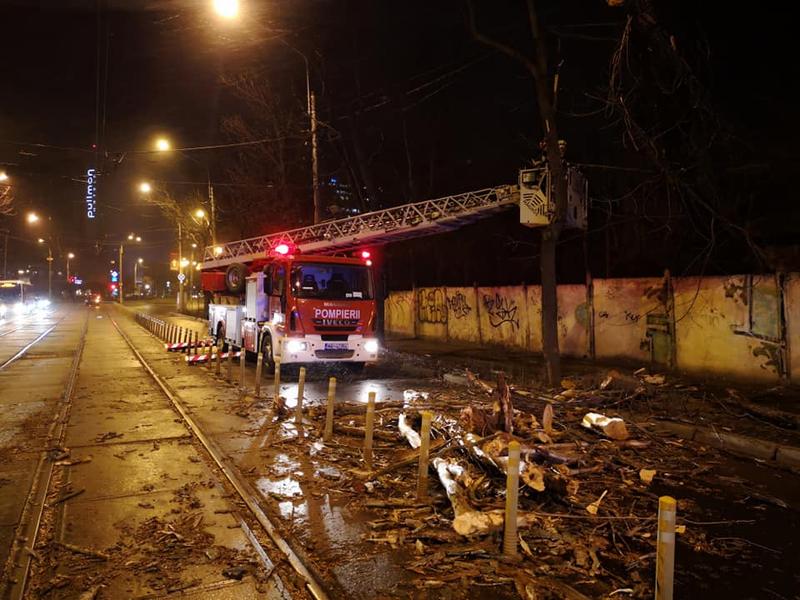 Copaci doborati de vant, Foto: ISU Bucuresti-Ilfov