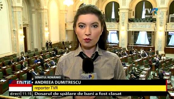 Andreea Dumitrescu, Foto: Captura TVR.ro