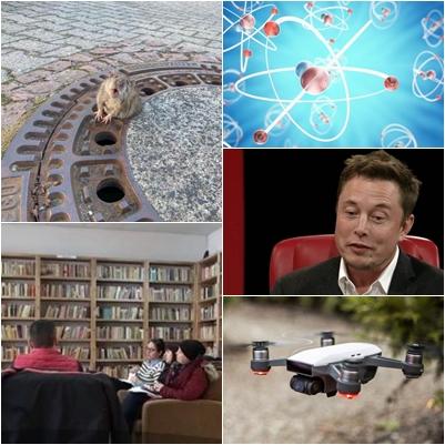 faze tari, Foto: Colaj foto