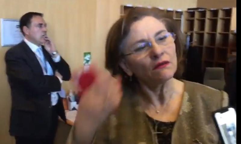 Maria Grapini, Foto: Hotnews