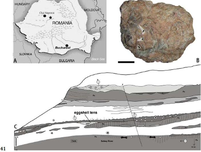 Locul unde au fost descoperite fragmentele de oua, Foto: researchgate.net