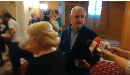 Liviu Dragnea, Foto: Hotnews