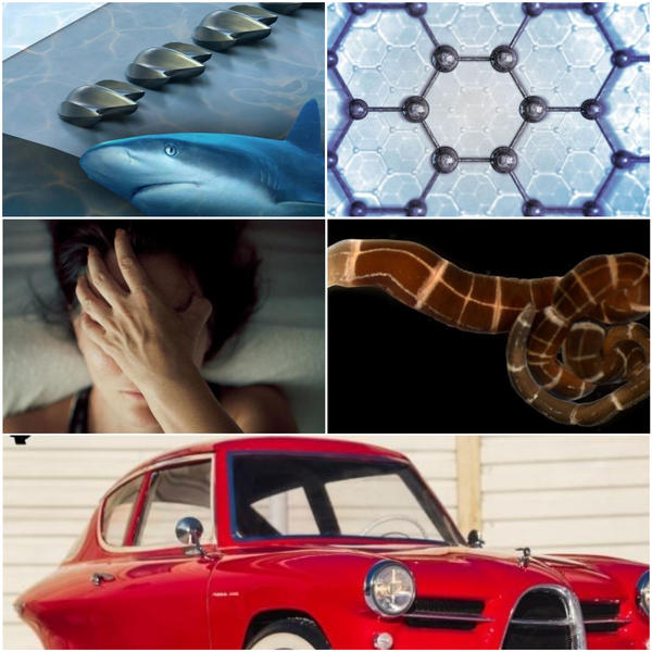 faze tari, Foto: Colaj foto