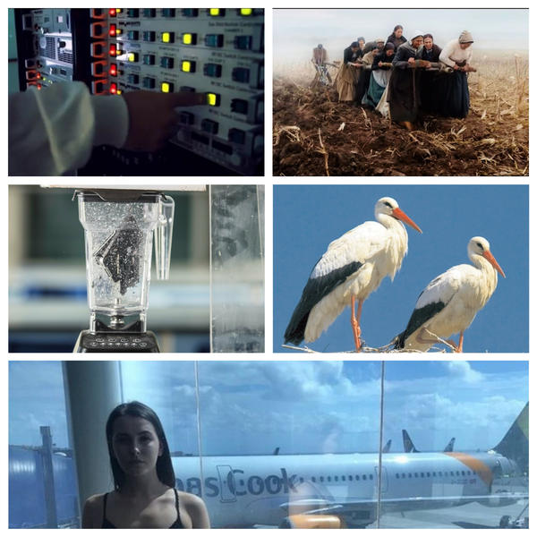 faze tari, Foto: Colaj foto