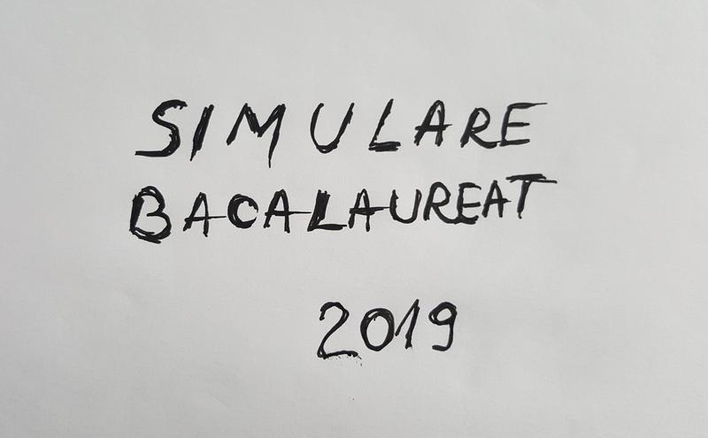 Simulare BAC 2019, Foto: Hotnews