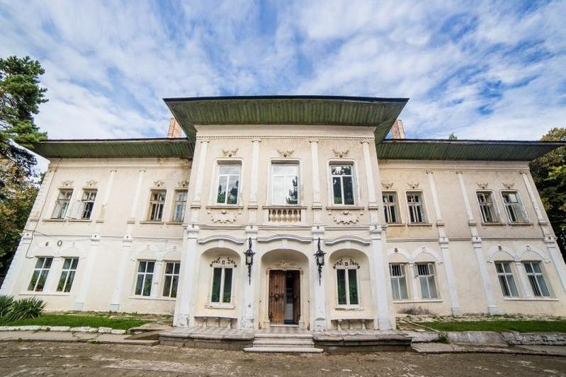 Castelul Cantacuzino - Ghica Deleni, Foto: artmarkhistoricalestate.ro