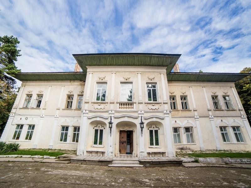 Castelul Cantacuzino - Ghica Deleni, Foto: artmarkhistoricalestate.ro