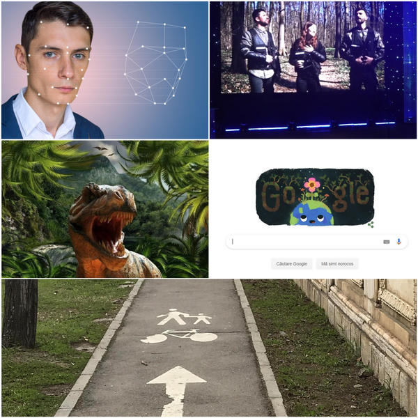 faze tari, Foto: Colaj foto