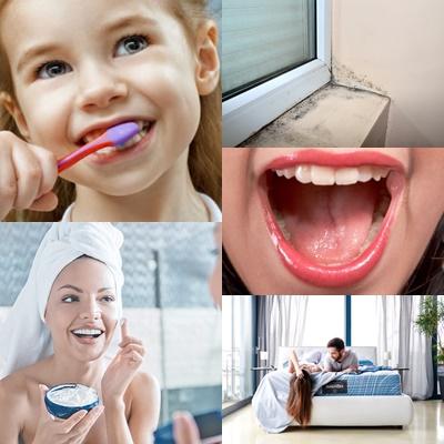 utile, Foto: Colaj foto