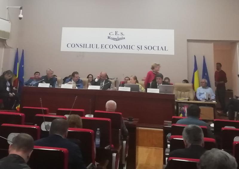 Plenul CES - Ordonanta lacomiei 2, Foto: Hotnews