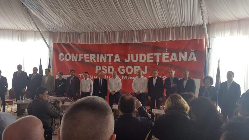 Dragnea PSD Gorj, Foto: domino.ro