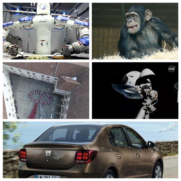 faze tari, Foto: Colaj foto