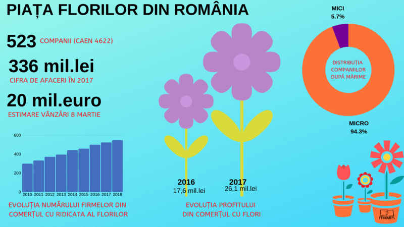 Firmele din comerţul cu ridicata al florilor, Foto: Hotnews