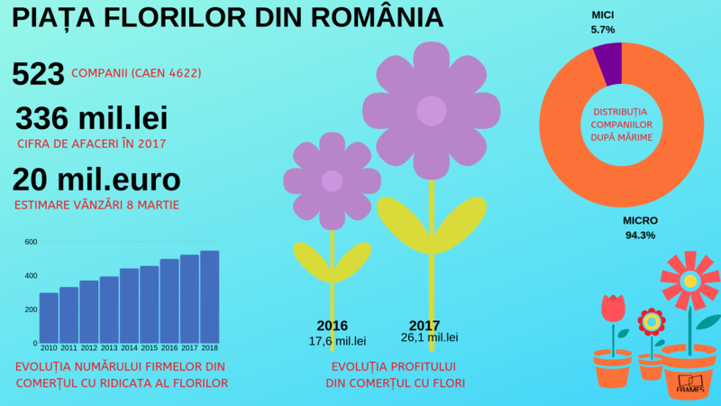 Firmele din comerţul cu ridicata al florilor, Foto: Hotnews