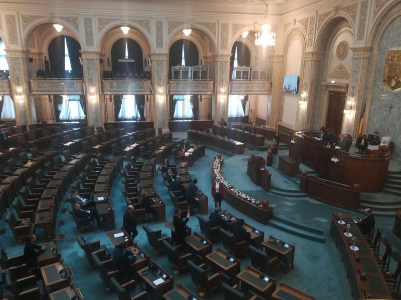 Plenul Senatului, Foto: Hotnews