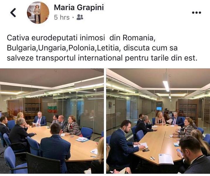 Postare Maria Grapini, Foto: Hotnews