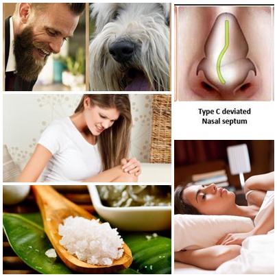 Utile , Foto: Colaj foto