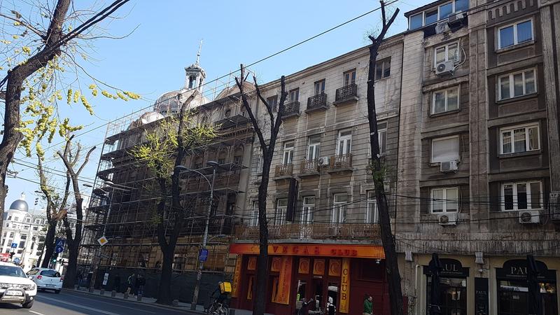 Copaci toaletati 5, Foto: Hotnews