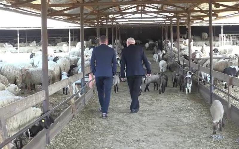 Afacere de familie, Foto: Hotnews