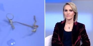 Firea si sarma din colon, Foto: Captura Romaniatv.net