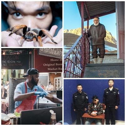 Faze tari, Foto: Colaj foto