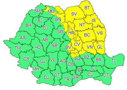 Cod galben, Foto: ANM