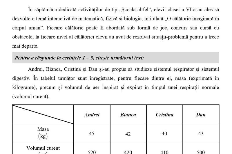 Subiecte clasa a VI-a, Foto: Hotnews