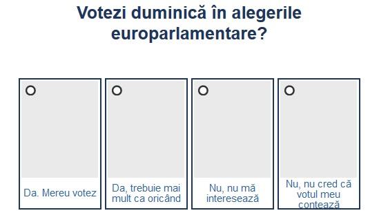 Sondaj alegeri europarlamentare, Foto: Hotnews