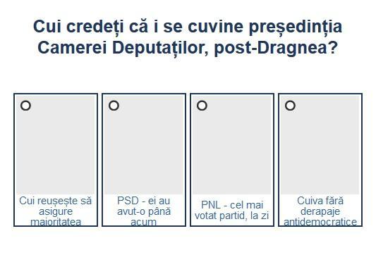 Sondaj Presedintele Camerei Deputatilor, Foto: Hotnews