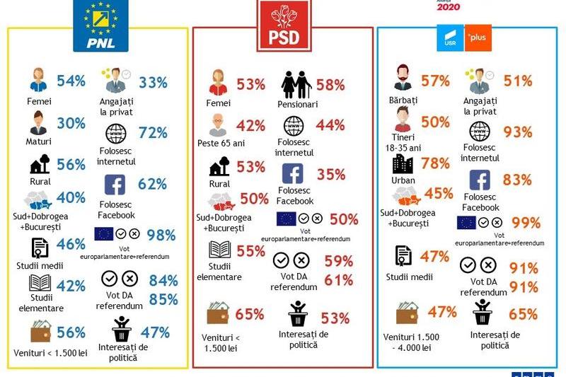 Profil votanti PSD, PNL si USR, Foto: IRES