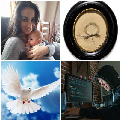 Faze tari, Foto: Colaj foto