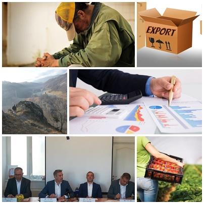 Business report, Foto: Colaj foto