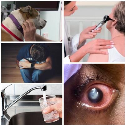 Utile, Foto: Colaj foto