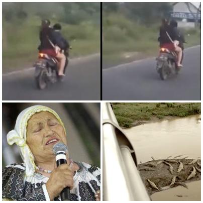 faze tari, Foto: Colaj foto