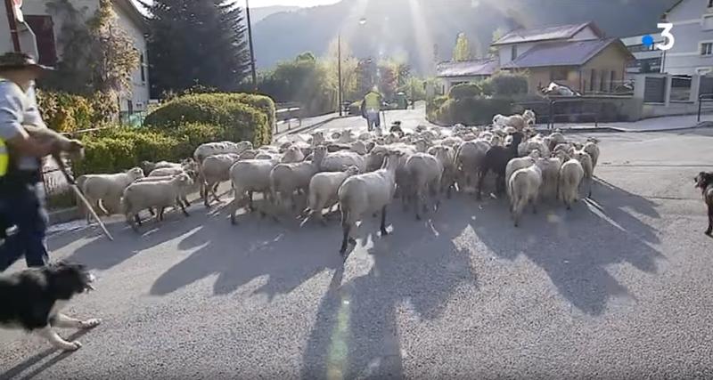 Oi inscrise la scoala, Foto: Captura YouTube