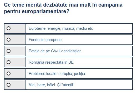 Sondaj teme alegeri PE, Foto: Hotnews
