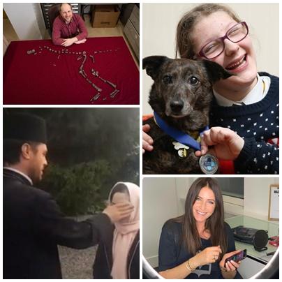 Faze tari, Foto: Colaj foto