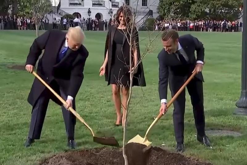 Trump si Macron plantand un stejar, Foto: Captura YouTube