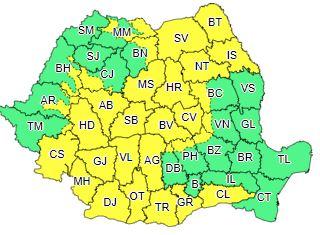 Cod galben, Foto: ANM